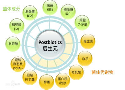 6737ec575765e.jpg 1731718227130.jpg