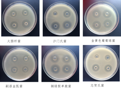 6737ec7c2f76c.jpg 1731718264989.jpg