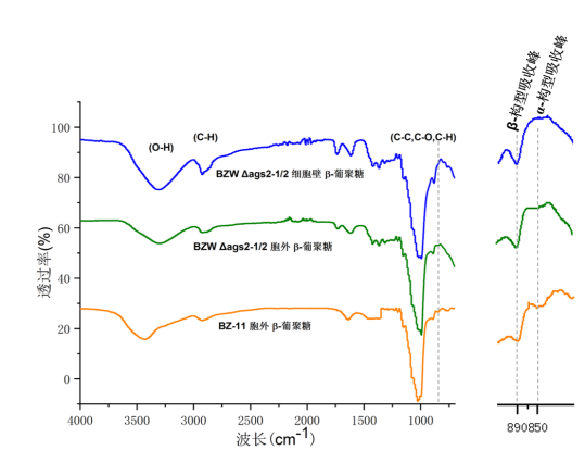 67384a3c5ae2e.jpg 1731742265890.jpg