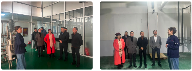 6778927a00995.png 1735955057802.png