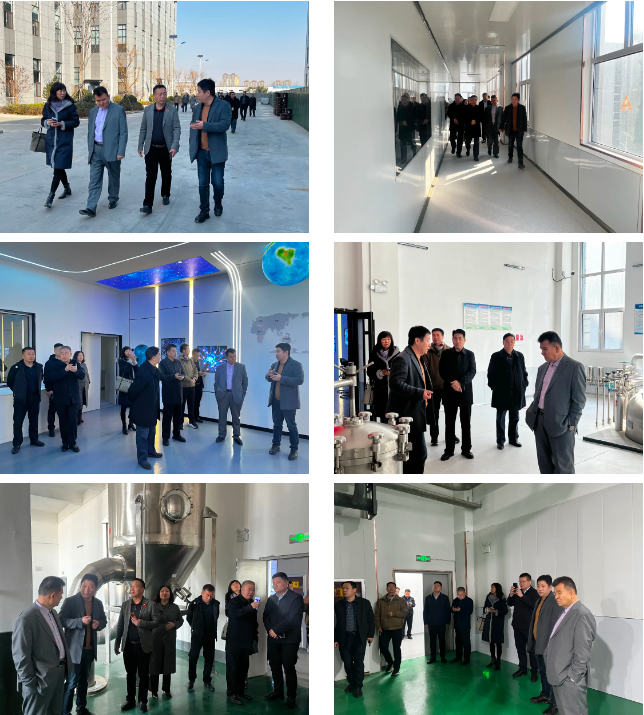 67c7a777a87c0.png 1741137780142.png